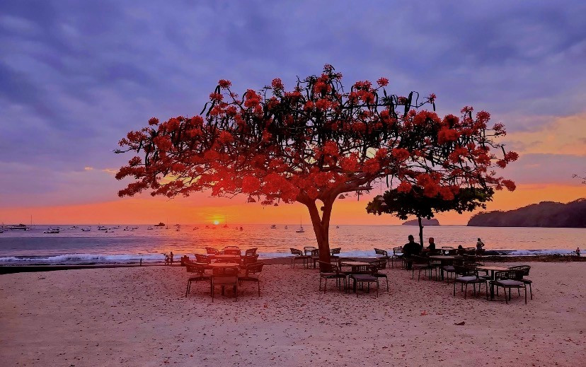 Pacifico condo pool and Guanacaste coastal lifestyle